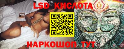 гидра Краснознаменск