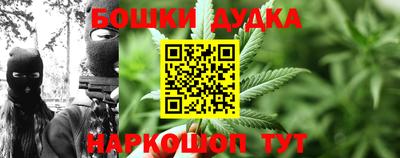 гидра Краснознаменск