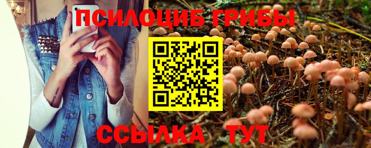 Псилоцибиновые грибы MAGIC MUSHROOMS Кизляр