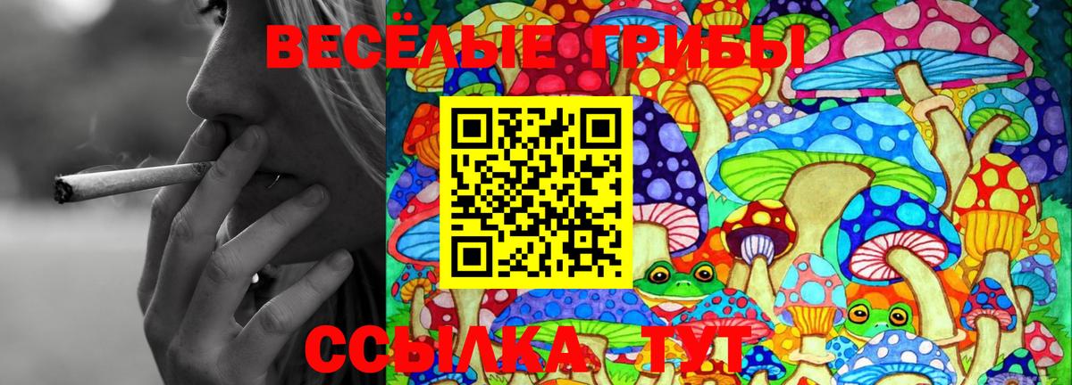 Кизляр  Псилоцибиновые грибы Cubensis  Вход с VPN 